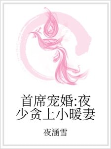 首席宠婚:夜少贪上小暖妻