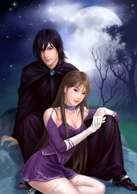 无尽剑装